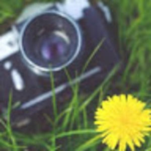 Meet your Posher, Simona